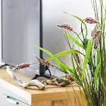 Coral Breeze Haven H25 Apartment Golem (Tirana)